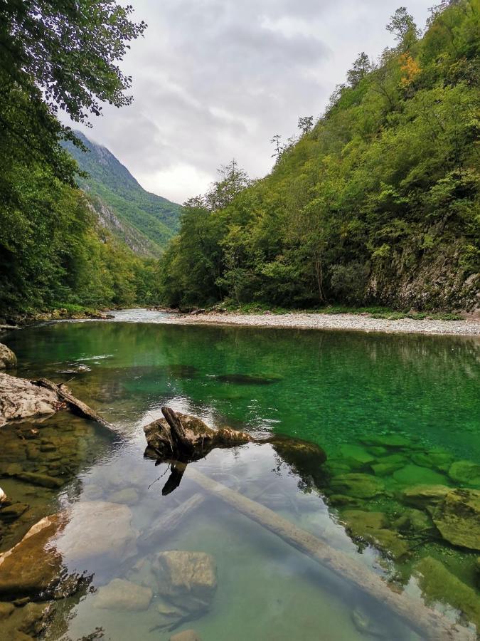 Ethno Cottage Momo Tepca Žabljak Exteriör bild