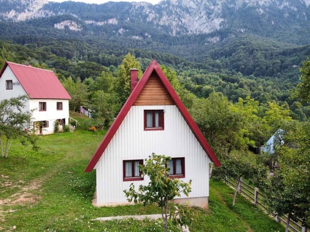 Ethno Cottage Momo Tepca Žabljak Exteriör bild